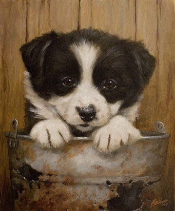 Framed Peek-a-Boo Print