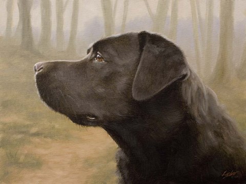 Framed Profile Print