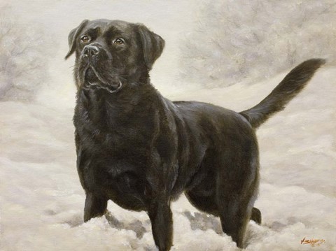 Framed Splashing Print