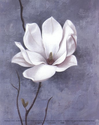 Framed Delicate Beauty I Print