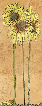 Framed Daisy's Print