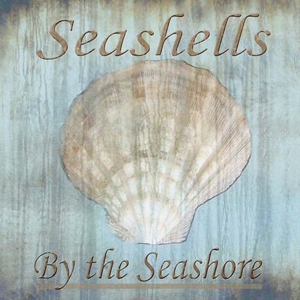 Framed Seashells by the Seashore II Print