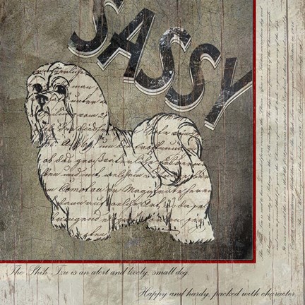 Framed Shih Tzu II Print