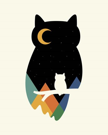 Framed Eye On Owl Print