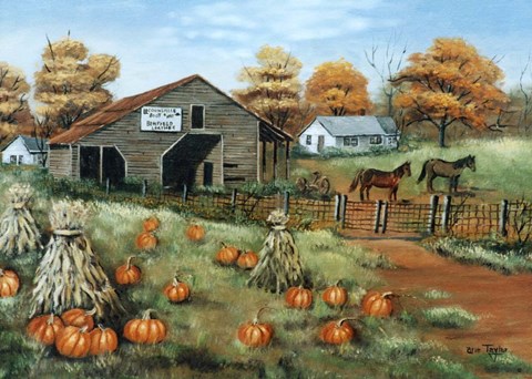 Framed Cooksville Barn Print