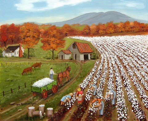 Framed Cotton Field and Baker's Mtn Print