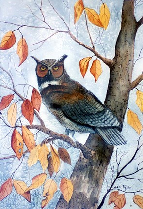 Framed Owl and Autumn Leaves Print