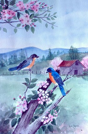 Framed Bluebirds and Apple Blossoms Print