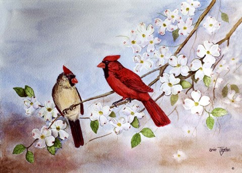 Framed Cardinals and Dogwood Print