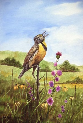 Framed Meadowlark 4 Print