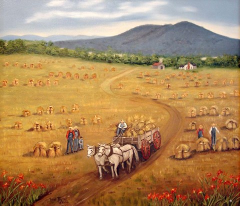 Framed Mountain View Print