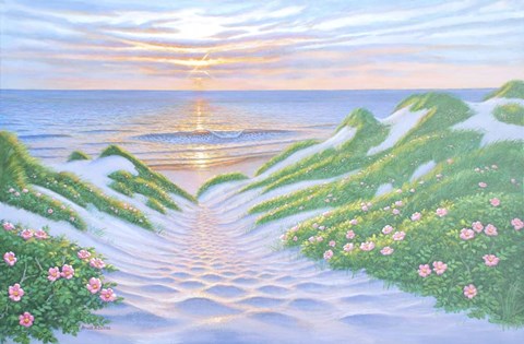 Framed Dune Descent III Print