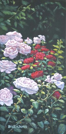 Framed Rosey Morning Print