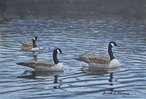 Framed Spring Break Print