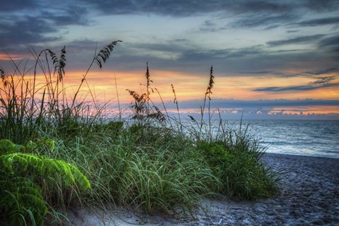 Framed On The Edge Of Sunrise Print