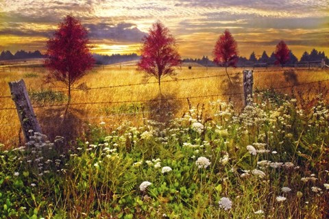 Framed Sunset Shadows Print