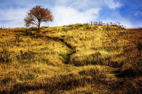 Framed Challenge Print