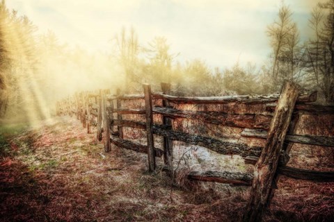 Framed Wood Fences In The Fog Print