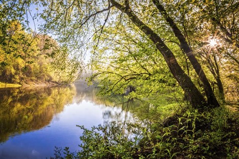 Framed Unforgetable Print