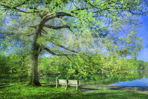 Framed I Will Wait for You in Summer Print