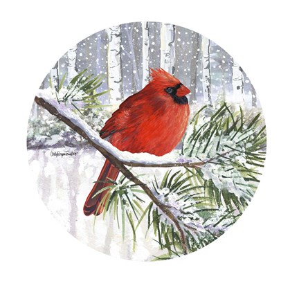 Framed Winter Wonder Male Cardinal Print