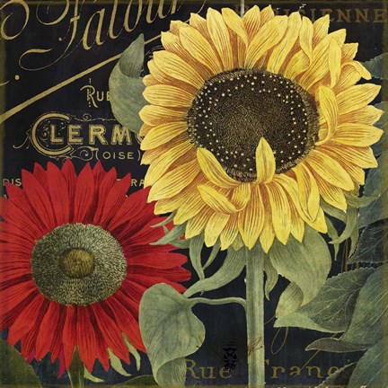 Framed October Sun II Print