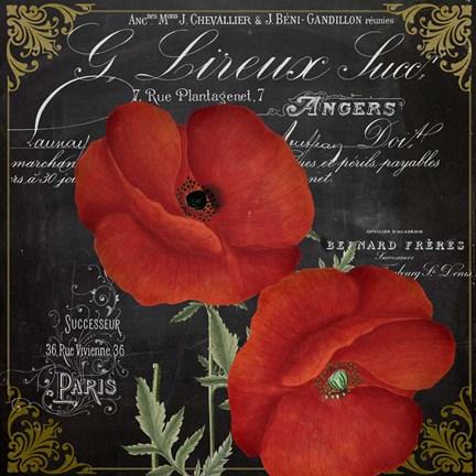 Framed Fleur du Jour I Print