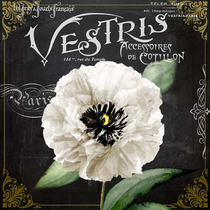 Framed Fleur du Jour II Print