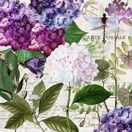 Framed Garden Glow I Print