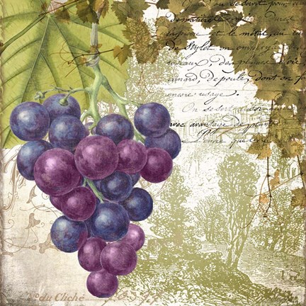 Framed Vigneto Print