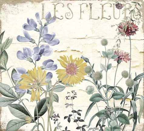 Framed Mirabelle II Print