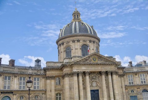 Framed Academy of Fine Arts of Paris Print