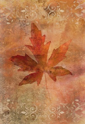 Framed Picked Up Autumn Leaf II Print