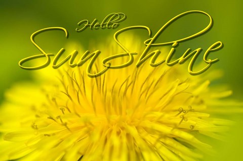 Framed Hellow Sunshine Print