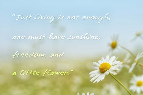 Framed Little Flower Print