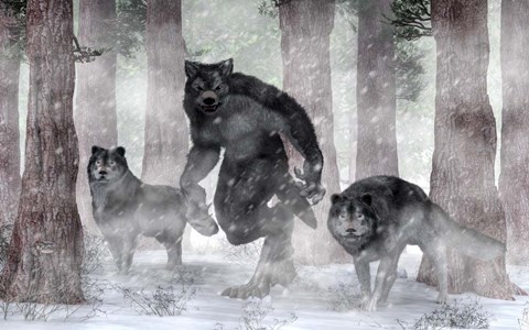 Framed Werewolf And Wolves Print