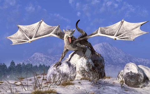 Framed White Dragon Print