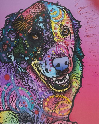 Framed Splatter Print