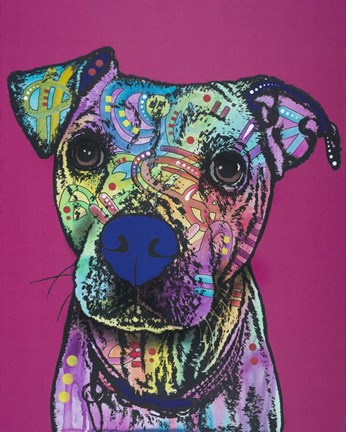 Framed Rosa 23 Print