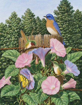 Framed September Morning Print