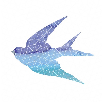 Framed Swallow Print