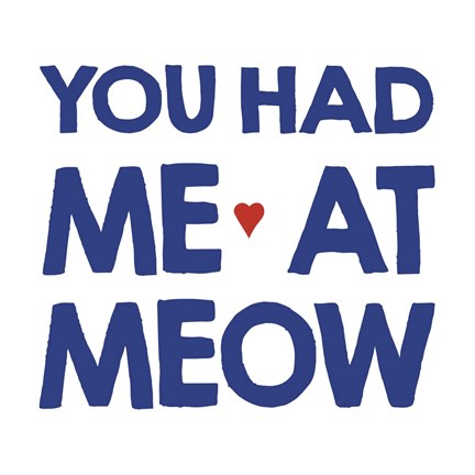 Framed Crazy Meow Print