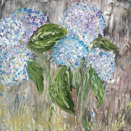 Framed Hydrangeas in Bloom Print