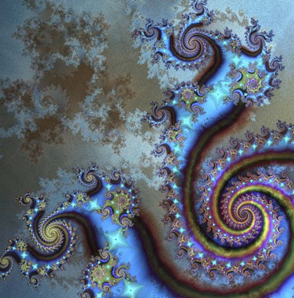 Framed Life Cycles Print