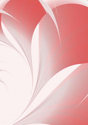 Framed Petals II Print