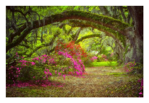 Framed Magnolia Gardens Print