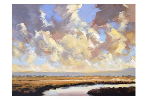 Framed Marsh 3 Print