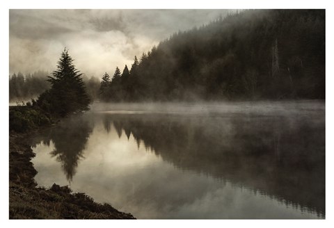 Framed Coos Fog Print