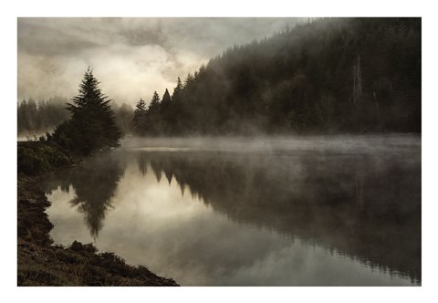 Framed Coos Fog Print