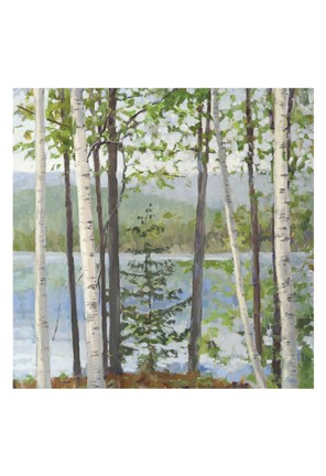 Framed Cooper Lake I Print